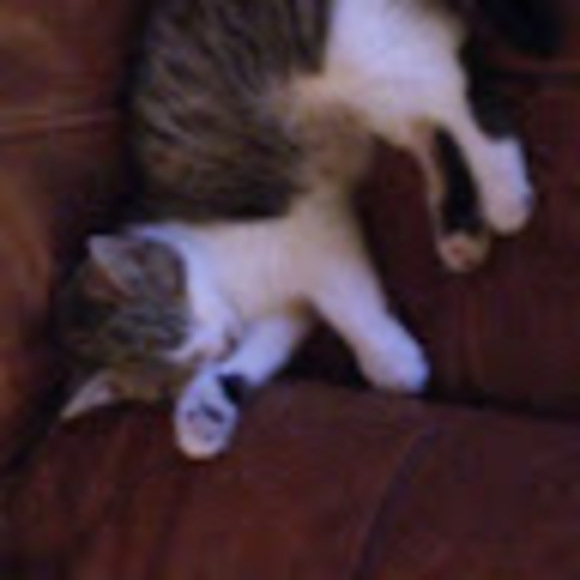 Meet your Posher, Richard - Picture 1 of 1